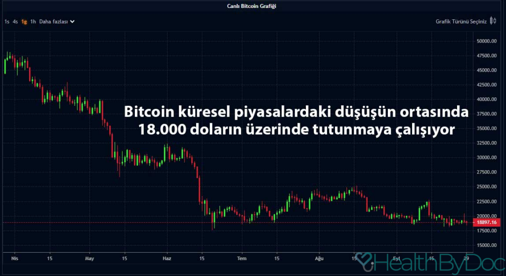 Bitcoin’in Küresel Ekonomideki Rolü: 2023 Analizi